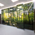 Allestimento decorativo Ospedale Moscati – Avellino